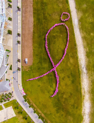 Human Pink Ribbon aerial